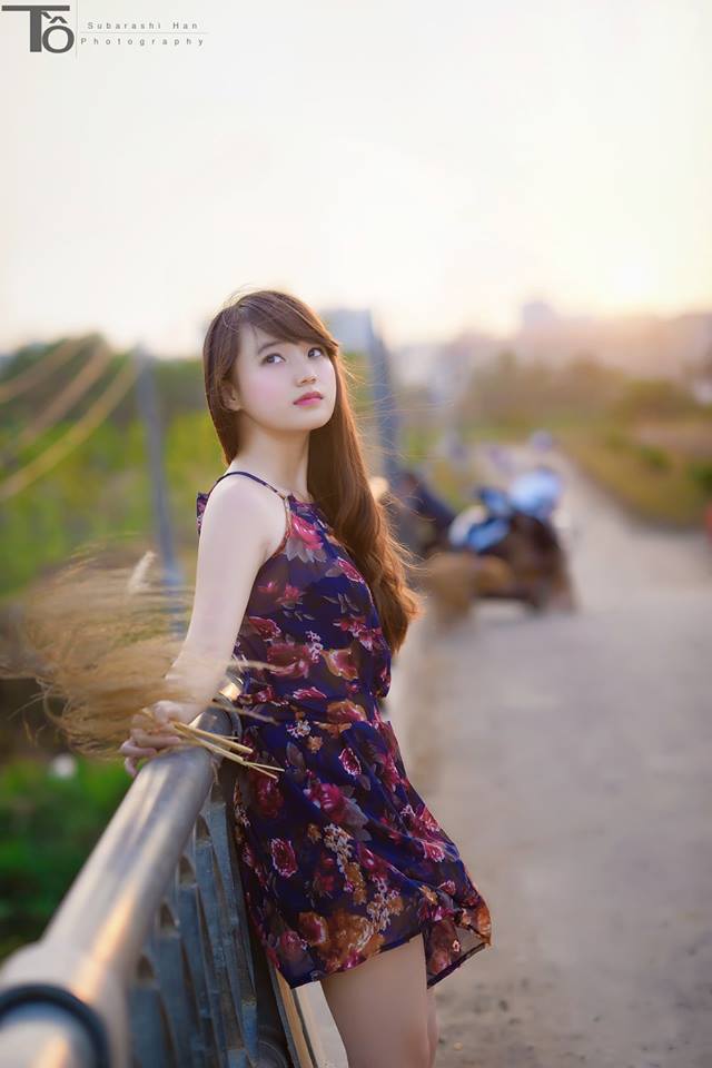 玫瑰电视剧